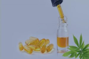 Understand the Difference and Similarities Between CBD Edibles and Capsules