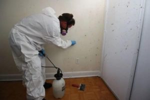 Biohazard cleanup of crime scene